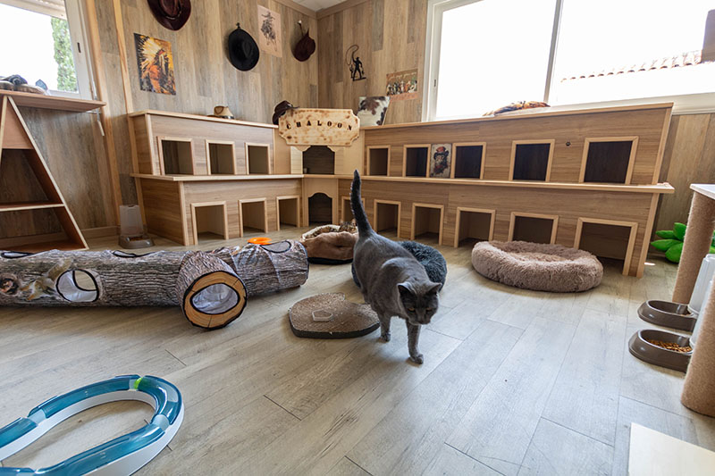 La chambre au décor Far West, avec un tunnel en bois