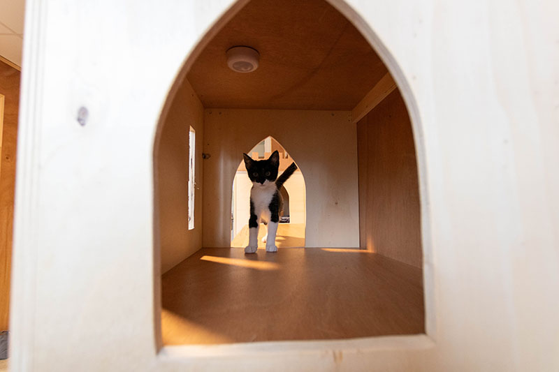 Une chambre individuelle en bois, porte en arche