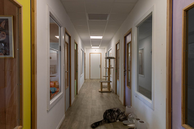 Le couloir lumineux qui dessert les chambres